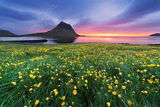 Beautiful landscape with mountain and ocean in Iceland