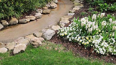 Nice spring outdoor landscapes