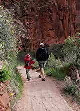 Father and son hiking