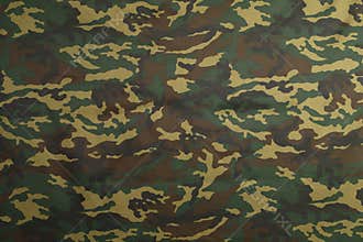 Green Camouflage pattern