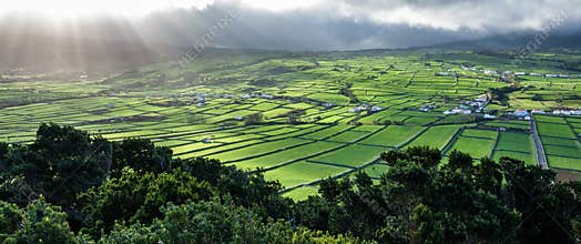 Farm fields in the Terceira island in Azores against sun