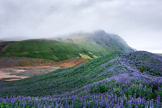 Iceland