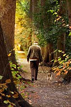 A walk in the park