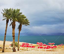 The beach canopies on a beach