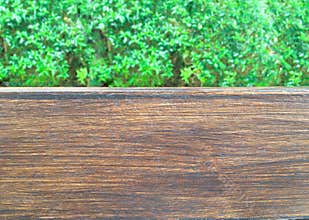 Empty of wood on blur of green plants`s leaves from garden.For montage product display