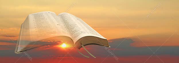 New dawn bible