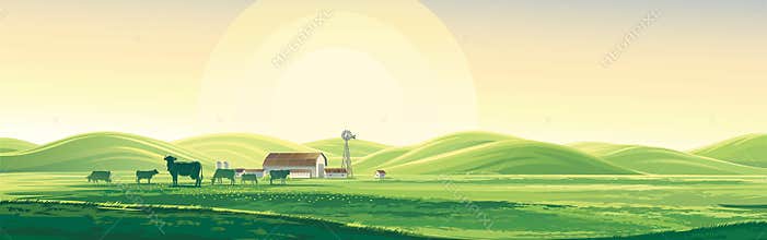 Summer rural landscape and farm.