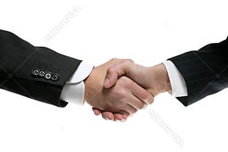 Businessman partners shaking hands with suit