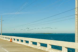 Florida Keys coastal highway
