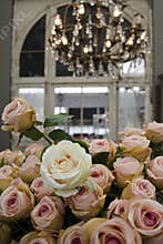 Roses in an old building