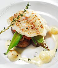 Hot Fish Dishes - Halibut fillet