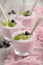 Homemade blueberry yogurt with blueberry and mint