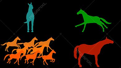 Horses pack. 7 different animations. Alpha channel. Alpha matte. 4K.