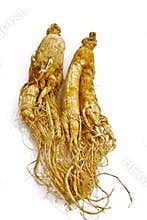 Traditional Ginseng Herb 01