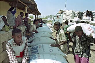 Supply food aid for Afar by Red Cross in Ethiopia