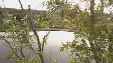 Collision with a tree by a drone