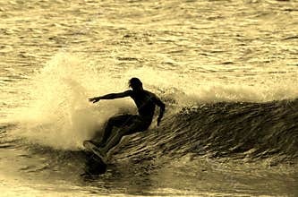 Surfing Silhouette