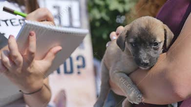 Puppy in her arms puppy orphan