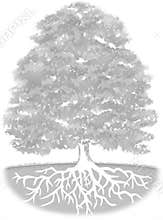 Tree background
