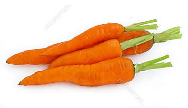 Carrot