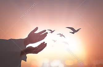 Silhouette Hands Releasing Birds Into Bright Sunset Sky Symbolizing Freedom and Hope