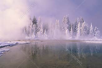 Winter in Yellowstone