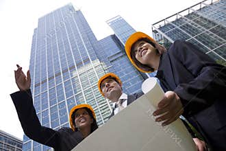 Executive Construction Team