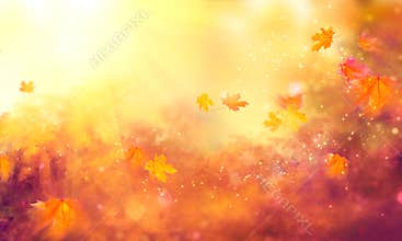Fall background. Autumn colorful leaves