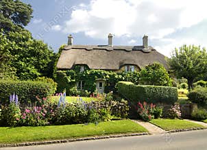 Quaint countryside cottage in England