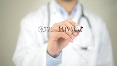 Bone Marrow , Doctor writing on transparent screen