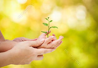 Love and protect nature