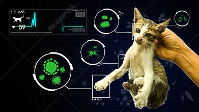 Animation of germ pathogen analysis from animal and pet cat gifographic background for health or biology education. Hand holding a