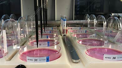 Automated liquid handling in progress