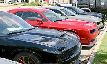 Dodge Muscle Cars