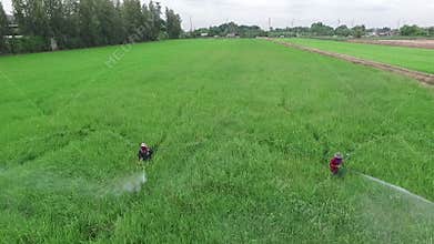 Farmer spraying toxic pesticides or insecticides in agriculture field