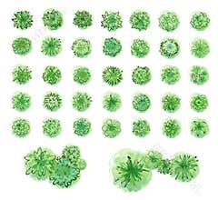 Various trees, bushes and shrubs, top view for landscape design plan. Vector illustration, isolated on white background.