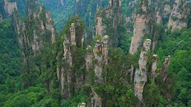 Tilt up view of of Zhangjiajie National forest park, Wulingyuan, China