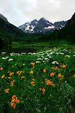 Maroon Bells in full bloom