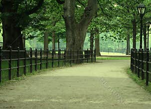 Park Trail