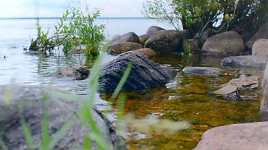 Rocky shore. Landscape view.