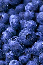 Wet Blueberries