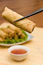 Deep Fried Spring Rolls