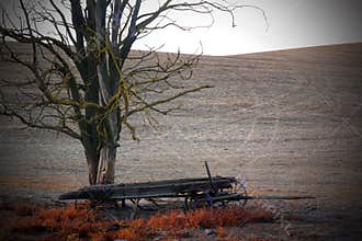 Dead Frontier Wagon