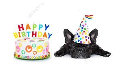 Happy birthday sleeping dog