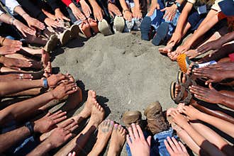 Feet and hands