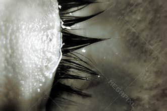 Lake of tears