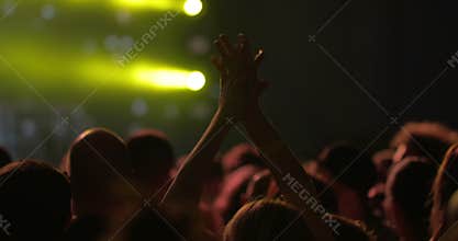 Woman applauding among the crowd