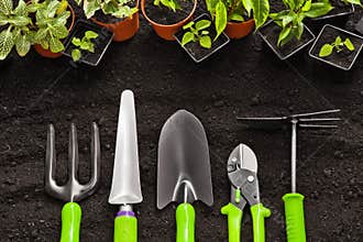 Gardening tools and plants