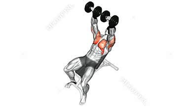 Video guides exercising. Dumbbell bench press while lying on an