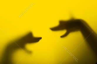 Shadow hand puppets (Dog's heads)
